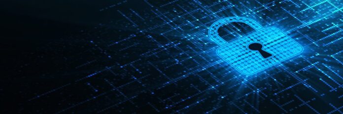 Netherlands establishes cyber resilience network to strengthen public-private digital defence